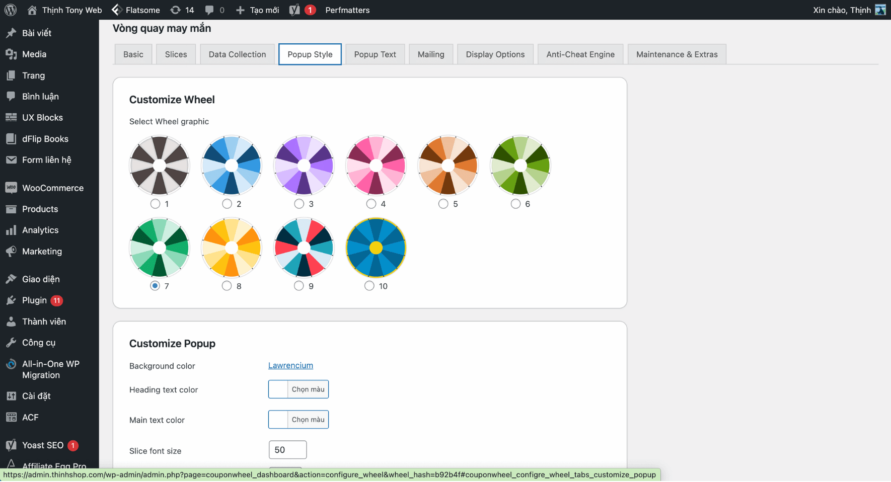 Plugin Coupon Wheel3
