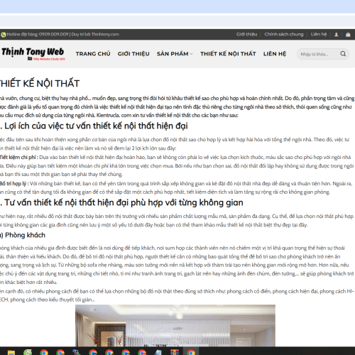 Mau Website Shop Noi That3