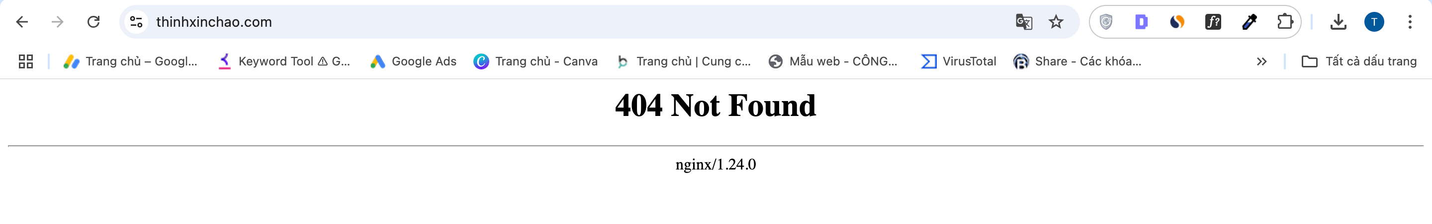 Website vi pham tieu chuan thiet ke hoac loi ky thuat
