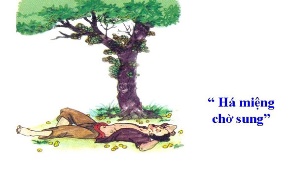 Câu chuyện #6: Thịnh đã bắt đầu hành trình xây dựng Web như thế nào và đã trải qua những gì? ha mieng cho sung