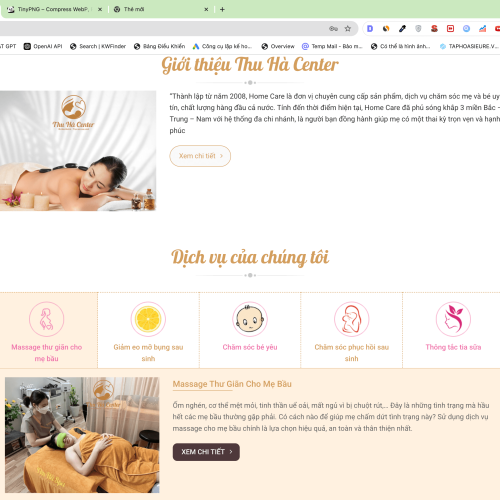 Mẫu Website Cung Cấp Dịch Vụ Chăm Sóc Mẹ và Bé Sau Sinh