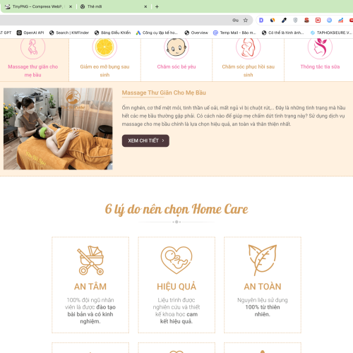 Mẫu Website Cung Cấp Dịch Vụ Chăm Sóc Mẹ và Bé Sau Sinh